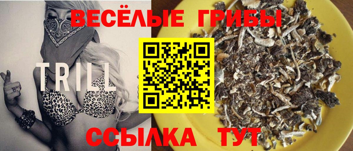 Галлюциногенные грибы мухоморы  купить   Череповец  Вход с VPN  Псилоцибиновые грибы GOLDEN TEACHER 